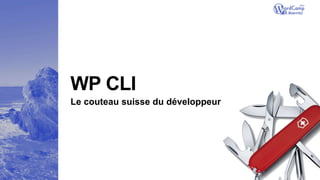 WP CLI
Le couteau suisse du développeur
 