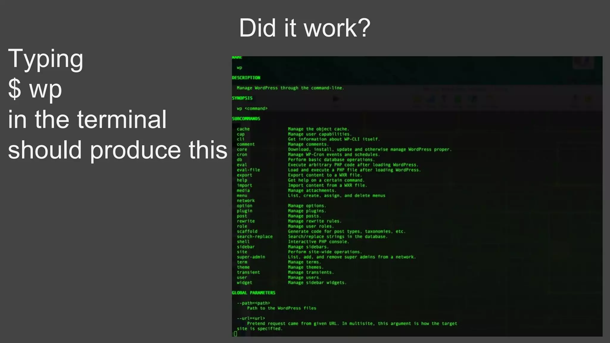 Did it work?
Typing
$ wp
in the terminal
should produce this
 