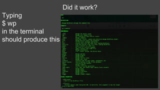 Did it work?
Typing
$ wp
in the terminal
should produce this
 