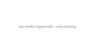 wp media regenerate --only-missing
 