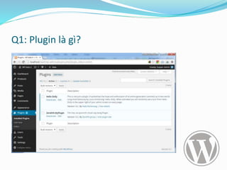 Q1: Plugin là gì?
 