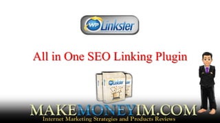 All in One SEO Linking Plugin
 