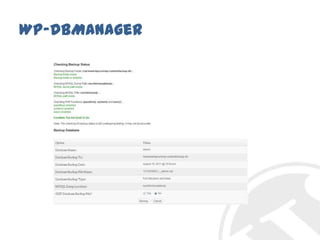 WP-DBManager