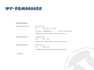 WP-DBManager