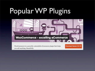 Popular WP Plugins
 