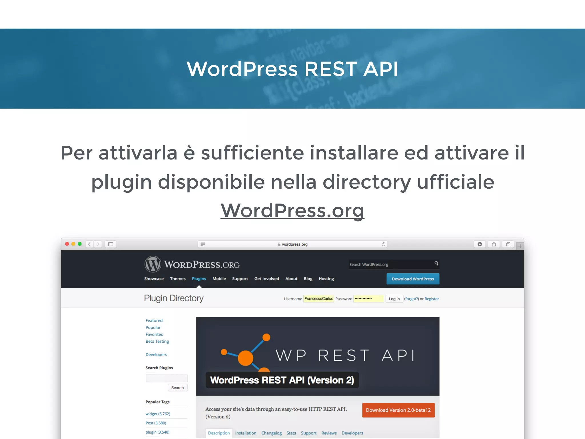 WordPress REST API
Per attivarla è sufficiente installare ed attivare il
plugin disponibile nella directory ufficiale
WordPress.org
 