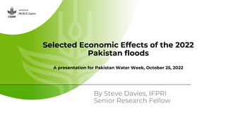 Selected Economic Effects of the 2022
Pakistan floods
A presentation for Pakistan Water Week, October 25, 2022
By Steve Davies, IFPRI
Senior Research Fellow
 