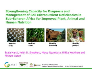 16 June 2014, Helsinki, Finland
FoodAfrica Midterm Seminar
Food and Nutrition Security in Africa
Strengthening Capacity for Diagnosis and
Management of Soil Micronutrient Deficiencies in
Sub-Saharan Africa for Improved Plant, Animal and
Human Nutrition
Healthy
soils
Healthy
crops
Healthy
livestock
Healthy
people
Esala Martti, Keith D. Shepherd, Mercy Nyambura, Riikka Keskinen and
Michael Gatari
 