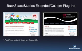 BackSpaceStudios Extended/Custom Plug-Ins 1 WordPress Install, 2 designs – Custom MU 