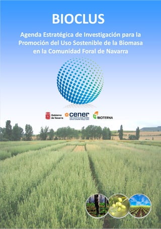 BIOCLUS
 Agenda Estratégica de Investigación para la
Promoción del Uso Sostenible de la Biomasa
     en la Comunidad Foral de Navarra
 