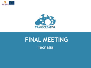 FINAL MEETING 
Tecnalia 
 