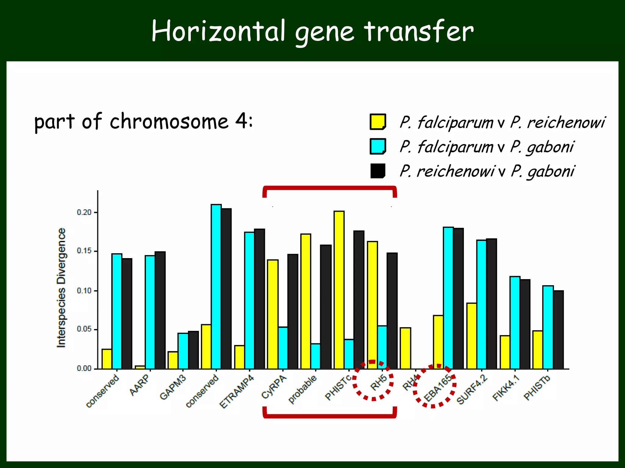 P. falciparum v P. reichenowi
P. falciparum v P. gaboni
P. reichenowi v P. gaboni
Horizontal gene transfer
part of chromosome 4:
 