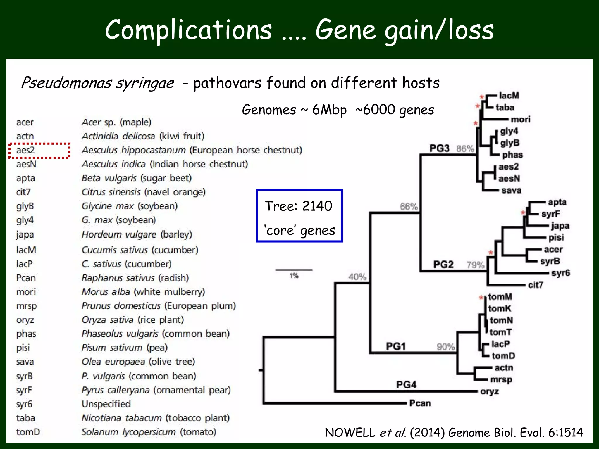 NOWELL et al. (2014) Genome Biol. Evol. 6:1514
Tree: 2140
‘core’ genes
Pseudomonas syringae - pathovars found on different hosts
Genomes ~ 6Mbp ~6000 genes
Complications .... Gene gain/loss
 