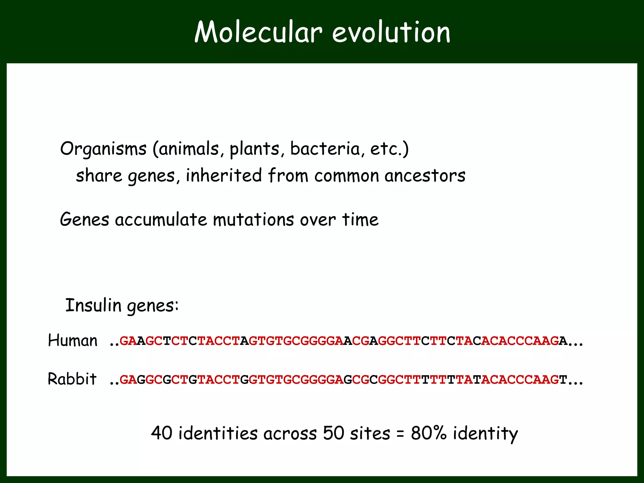 ..GAAGCTCTCTACCTAGTGTGCGGGGAACGAGGCTTCTTCTACACACCCAAGA...
..GAGGCGCTGTACCTGGTGTGCGGGGAGCGCGGCTTTTTTTATACACCCAAGT...
Organisms (animals, plants, bacteria, etc.)
share genes, inherited from common ancestors
Genes accumulate mutations over time
Insulin genes:
Human
Rabbit
40 identities across 50 sites = 80% identity
Molecular evolution
 