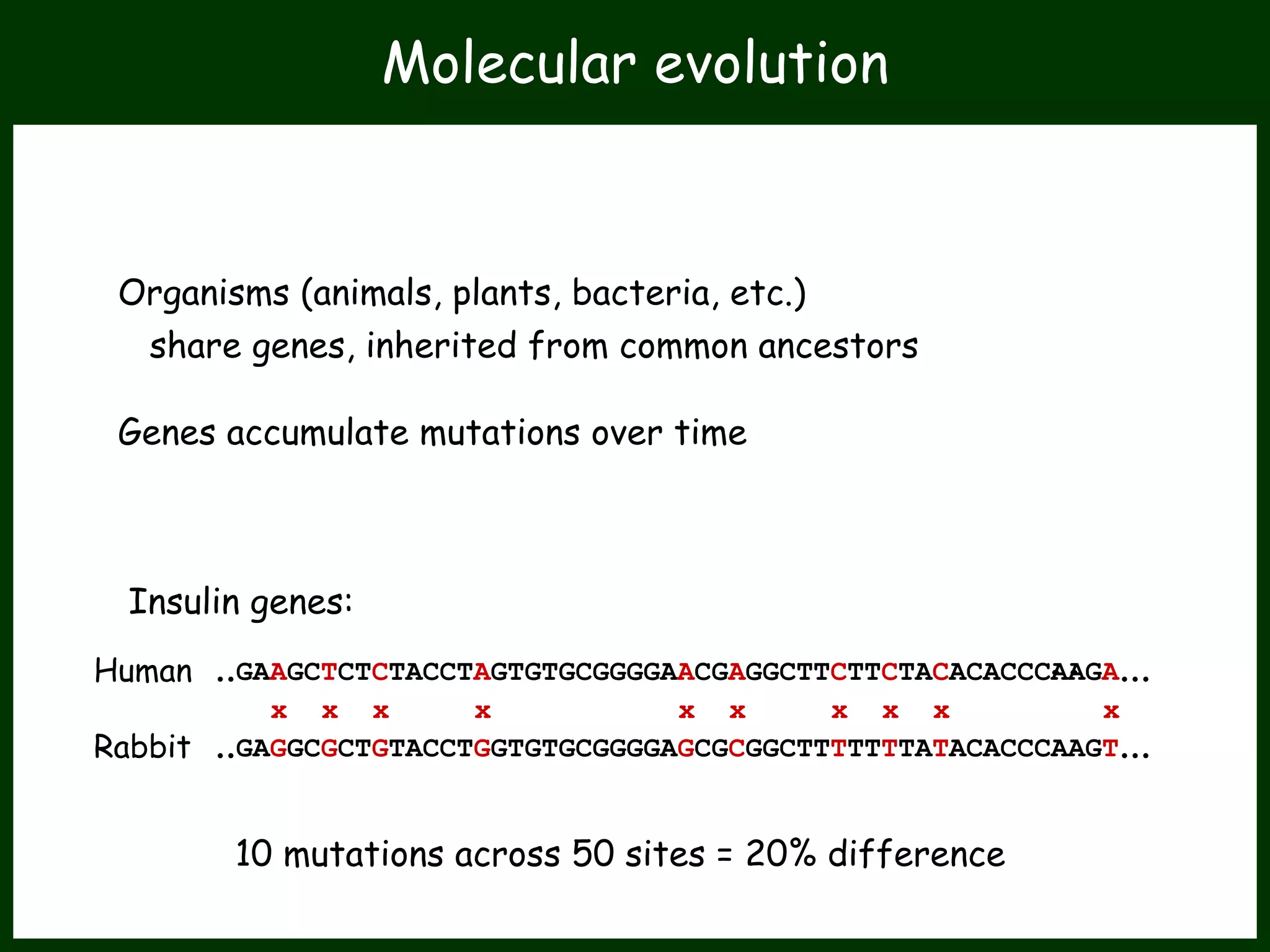 x x x x x x x x x x
..GAAGCTCTCTACCTAGTGTGCGGGGAACGAGGCTTCTTCTACACACCCAAGA...
..GAGGCGCTGTACCTGGTGTGCGGGGAGCGCGGCTTTTTTTATACACCCAAGT...
Organisms (animals, plants, bacteria, etc.)
share genes, inherited from common ancestors
Genes accumulate mutations over time
Insulin genes:
Human
Rabbit
10 mutations across 50 sites = 20% difference
..
Molecular evolution
 