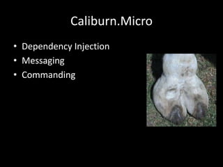 Caliburn.Micro
• Dependency Injection
• Messaging
• Commanding
 