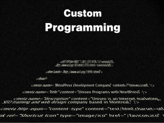 Custom
Programming
 