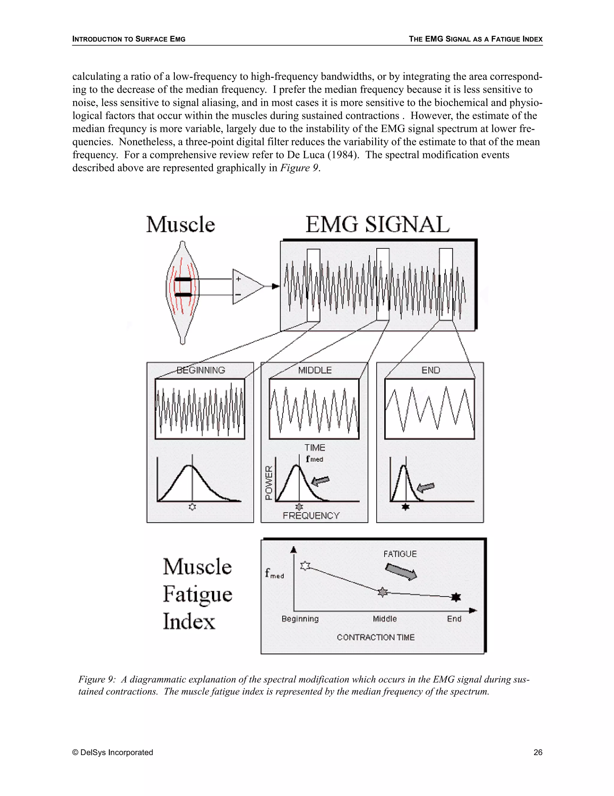 INTRODUCTION TO SURFACE EMG                                                     THE EMG SIGNAL AS A FATIGUE INDEX



calculating a ratio of a low-frequency to high-frequency bandwidths, or by integrating the area correspond-
ing to the decrease of the median frequency. I prefer the median frequency because it is less sensitive to
noise, less sensitive to signal aliasing, and in most cases it is more sensitive to the biochemical and physio-
logical factors that occur within the muscles during sustained contractions . However, the estimate of the
median frequncy is more variable, largely due to the instability of the EMG signal spectrum at lower fre-
quencies. Nonetheless, a three-point digital filter reduces the variability of the estimate to that of the mean
frequency. For a comprehensive review refer to De Luca (1984). The spectral modification events
described above are represented graphically in Figure 9.




 Figure 9: A diagrammatic explanation of the spectral modification which occurs in the EMG signal during sus-
 tained contractions. The muscle fatigue index is represented by the median frequency of the spectrum.




© DelSys Incorporated                                                                                           26
 