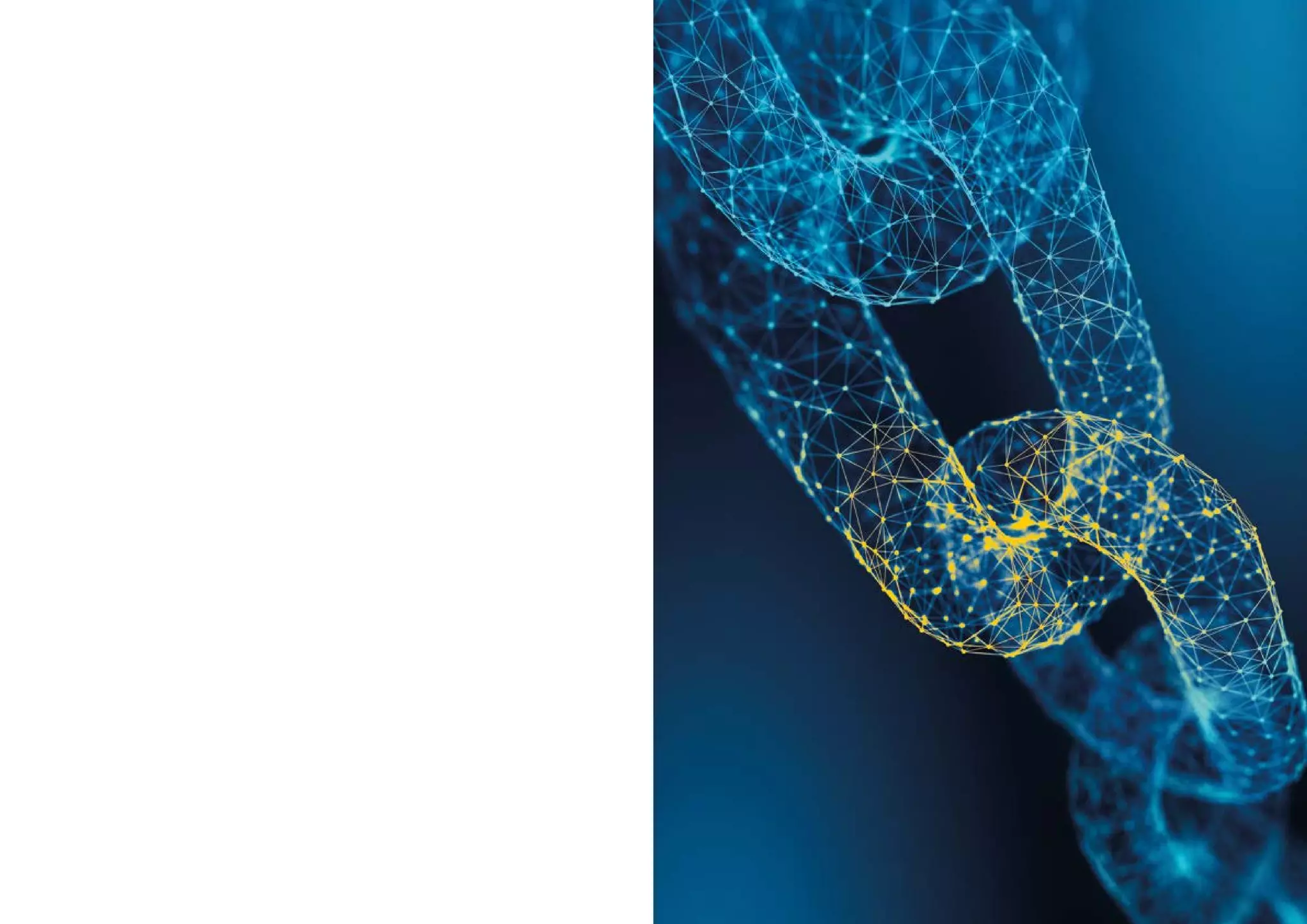 WHITE PAPER · BLOCKCHAIN · Version 1.0
135
 