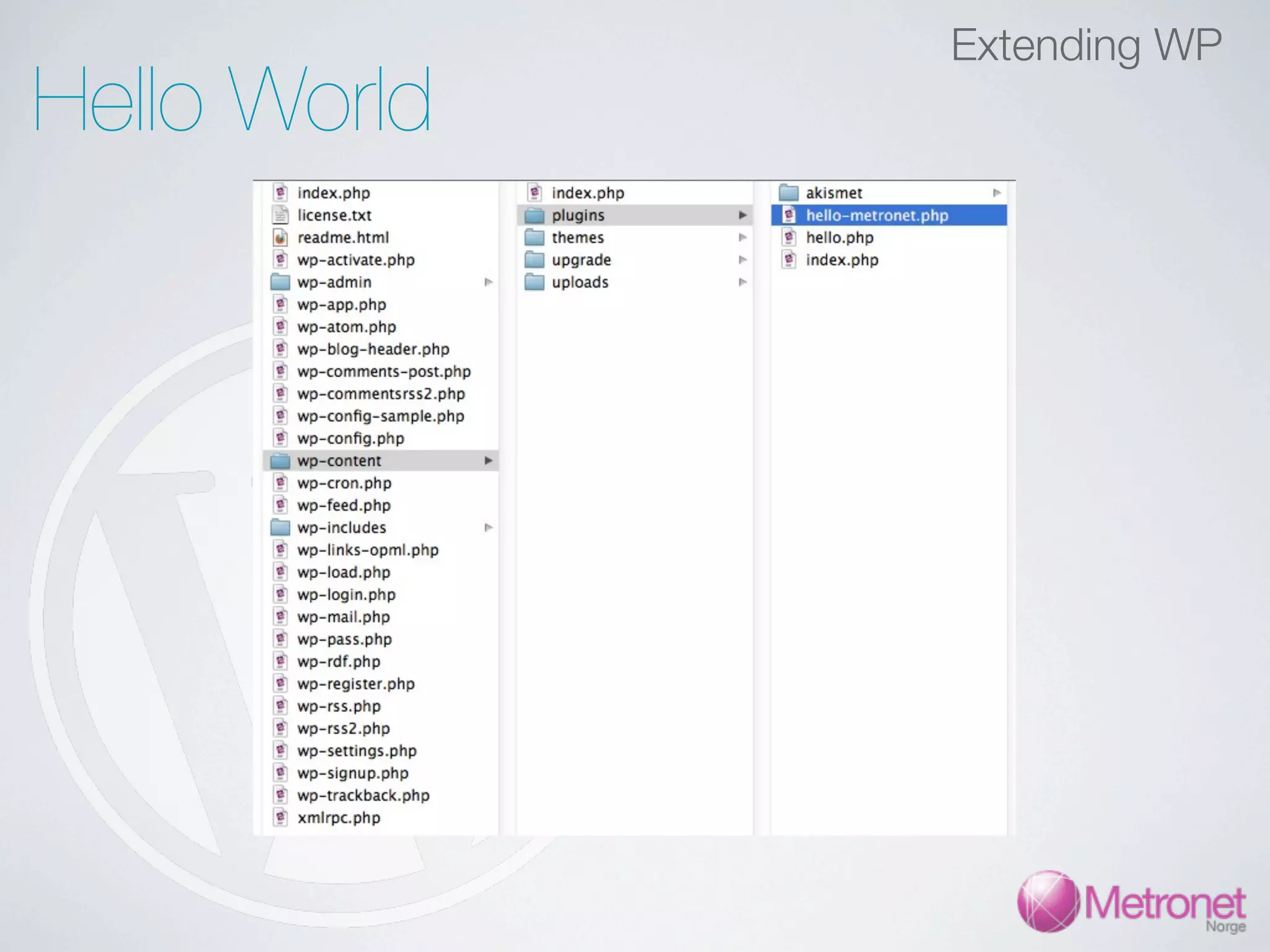Extending WP Hello World 