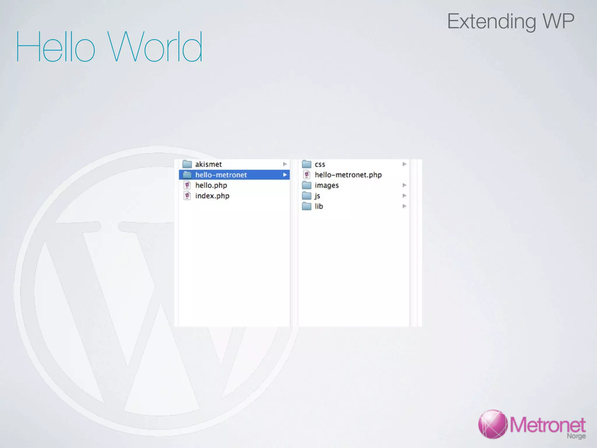 Extending WP Hello World 