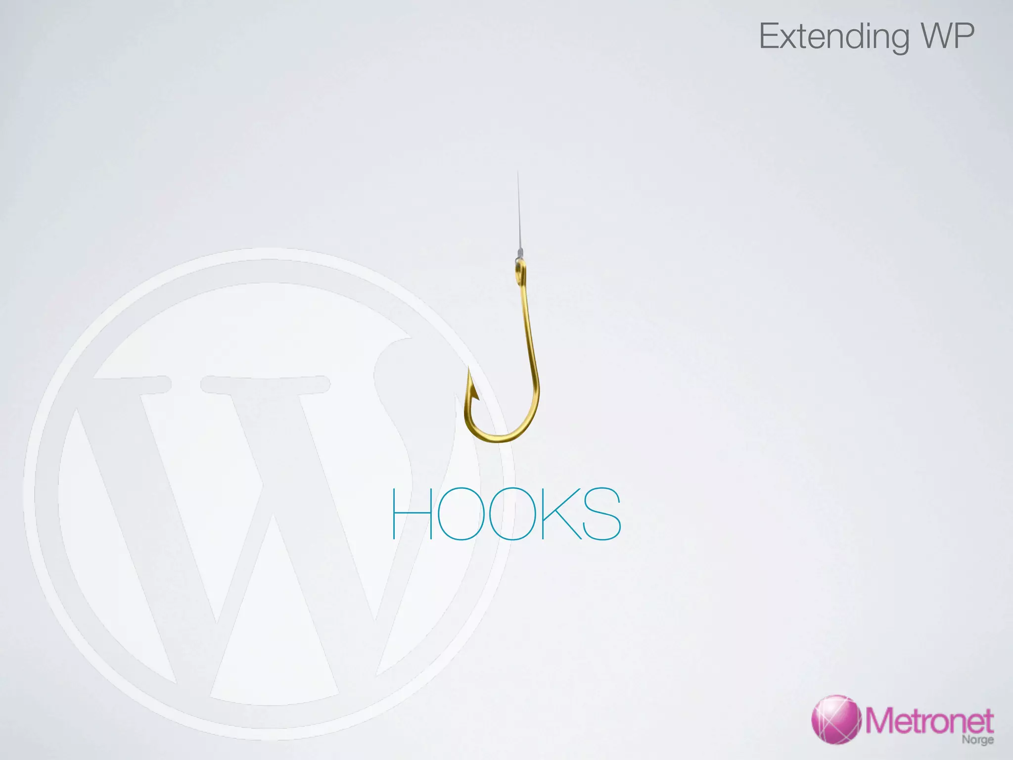 Extending WP HOOKS 