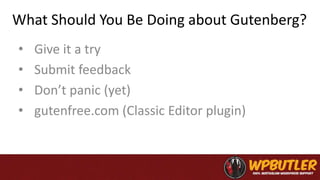 What Should You Be Doing about Gutenberg?
• Give it a try
• Submit feedback
• Don’t panic (yet)
• gutenfree.com (Classic Editor plugin)
 