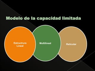Modelo de la capacidad limitadaMultilinealReticularEstructrura Lineal