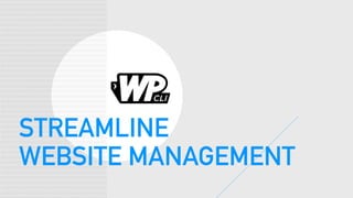 STREAMLINE
WEBSITE MANAGEMENT
 