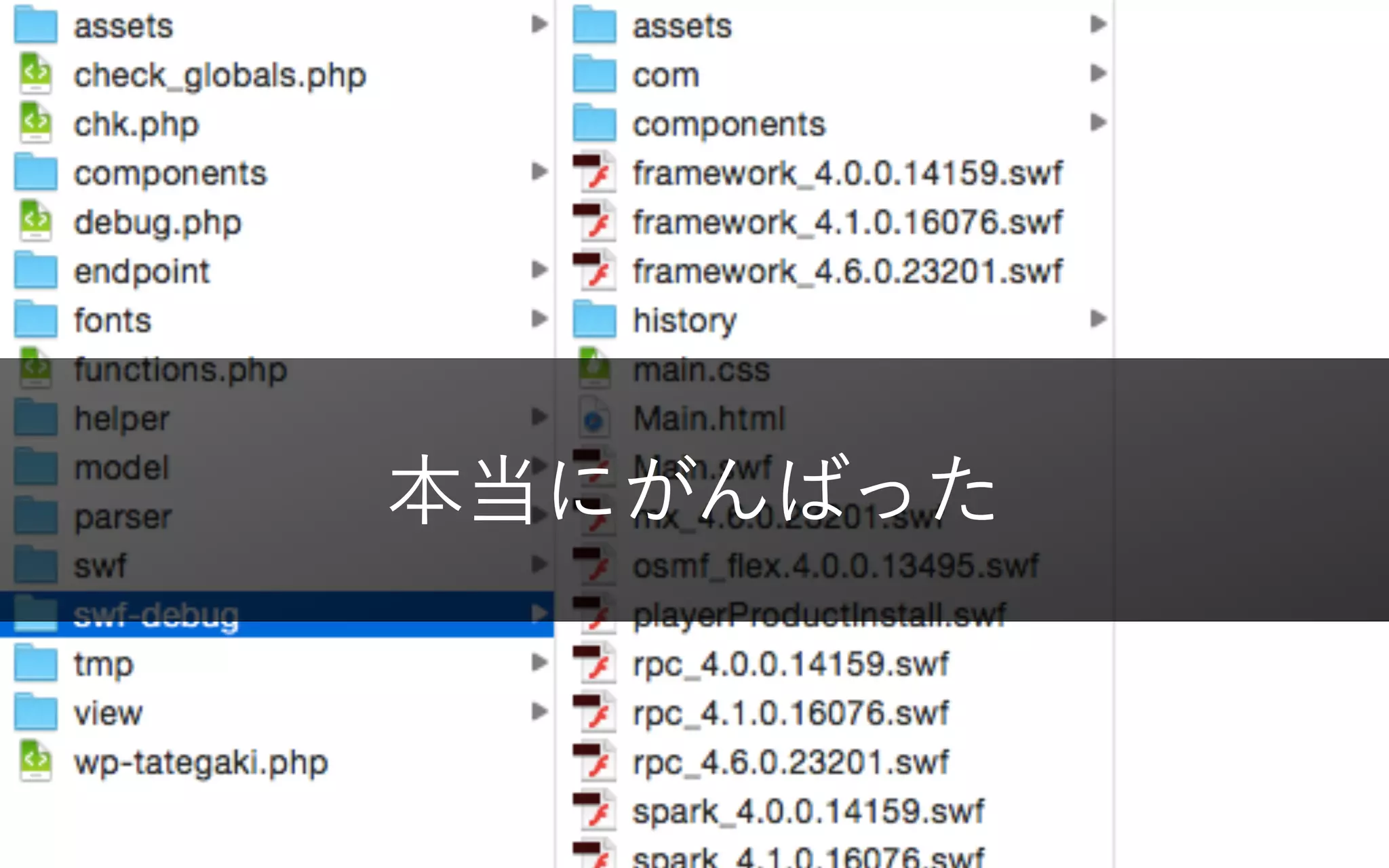 本当にがんばった
© Takahashi Fumiki19
 