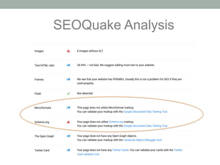 SEOQuake Analysis
 