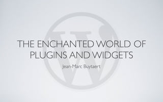 The Enchanted World of Plugins and Widgets