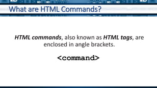 WPJS-Lesson02-Presentation.pptx