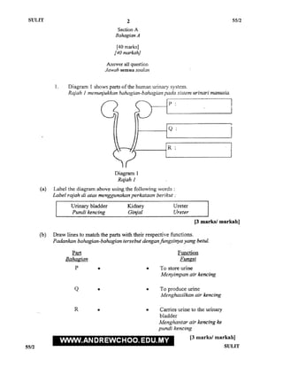 Wpkl science pmr trial