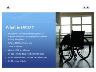 What is DMD ?
•   Duchenne Muscular Dystrophy (DMD) is a
    degenerative muscular disease which affects
    mostly young boys
•   It has a 100% mortality rate
•   There is no cure
•   One in 3,500 are affected
•   By age 10 most boys need walking braces
•   By 12 most become confined to a wheelchair
•   By 20… most will die
 
