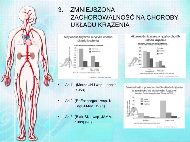 Wplyw wysilku fizycznego_na_organizm_czlowieka
