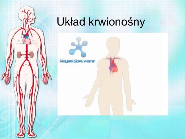 Organizm Człowieka Skóra Powłoka Organizmu Wplyw wysilku fizycznego_na_organizm_czlowieka