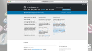 WordPress
 