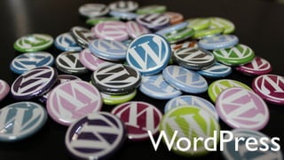 WordPress
 