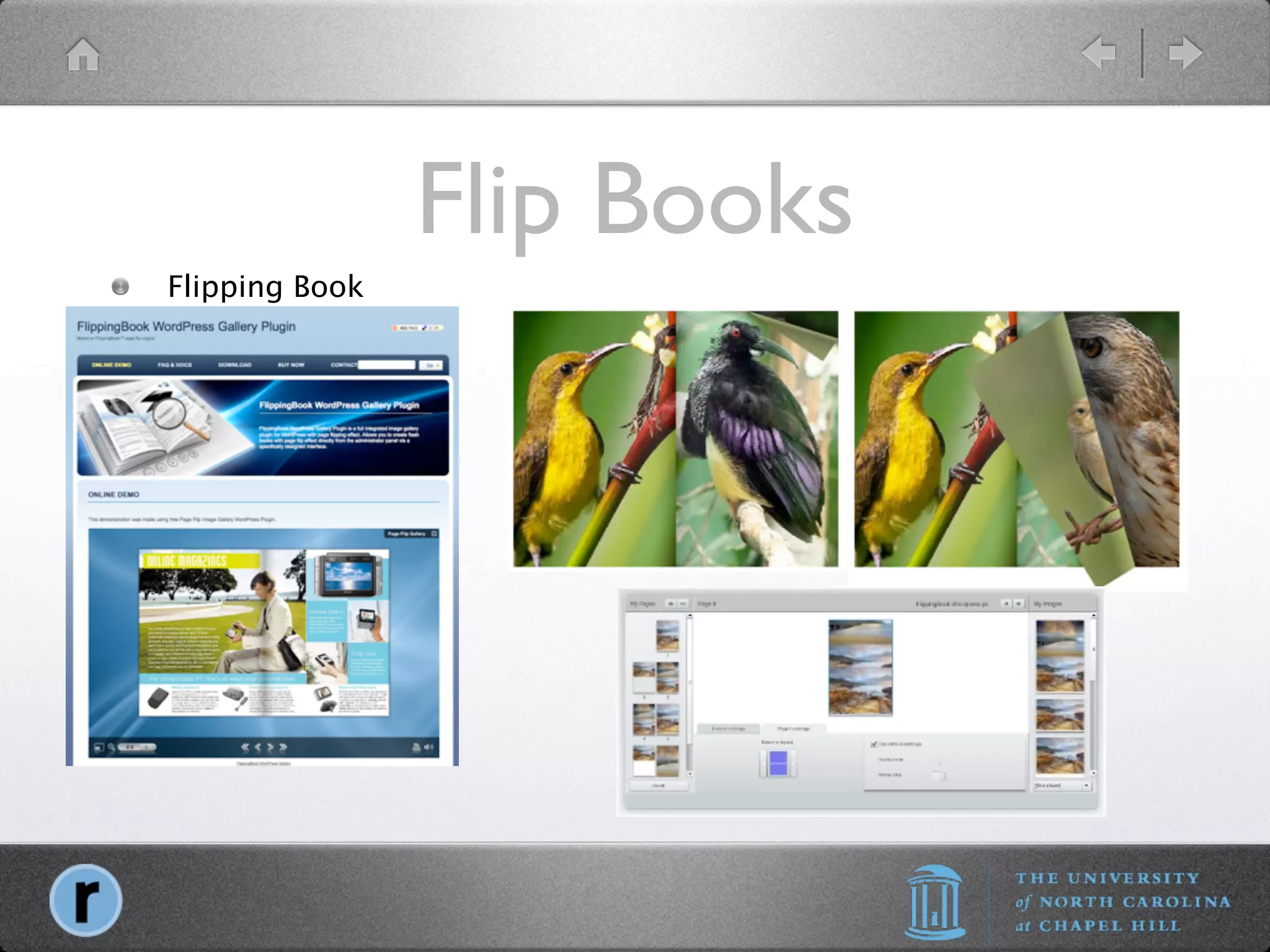 Flip Books
Flipping Book
 