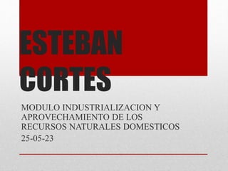 ESTEBAN
CORTES
MODULO INDUSTRIALIZACION Y
APROVECHAMIENTO DE LOS
RECURSOS NATURALES DOMESTICOS
25-05-23
 