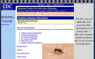 The bat costs do
not take into
account other
consequences of
losing bats —
like more human
health problems
due to an increase
of mosquitoes...

 
