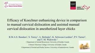 Efficacy of Koechner euthanizing device in comparison
to manual cervical dislocation and assisted manual
cervical dislocation in anesthetized layer chicks
R.M.A.S. Bandara1, S. Torrey1, A. Bolinder2, K. Schwean-Lardner3, P.V. Turner2,
and T. M. Widowski 1
1 Department of Animal Biosciences, University of Guelph, Canada
2 Ontario Veterinary Collage, University of Guelph, Canada
3 Department of Animal and Poultry Science, University of Saskatchewan, Canada
 