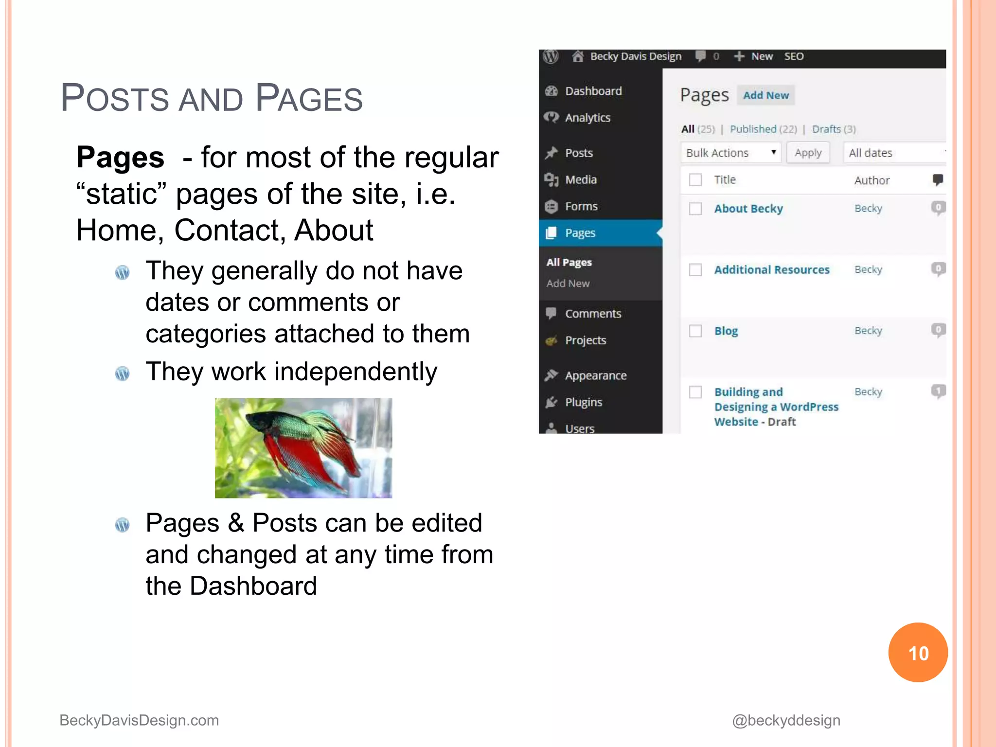 BeckyDavisDesign.com @beckyddesign
POSTS AND PAGES
Pages - for most of the regular
“static” pages of the site, i.e.
Home, Contact, About
They generally do not have
dates or comments or
categories attached to them
They work independently
Pages & Posts can be edited
and changed at any time from
the Dashboard
10
 