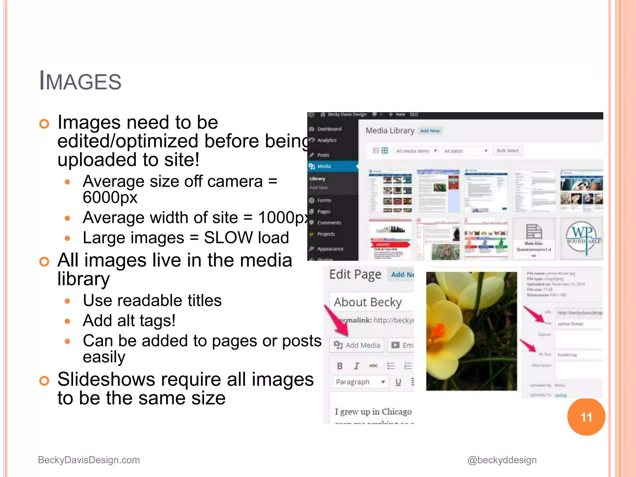 BeckyDavisDesign.com @beckyddesign
 Images need to be
edited/optimized before being
uploaded to site!
 Average size off camera =
6000px
 Average width of site = 1000px
 Large images = SLOW load
 All images live in the media
library
 Use readable titles
 Add alt tags!
 Can be added to pages or posts
easily
 Slideshows require all images
to be the same size
11
IMAGES
 