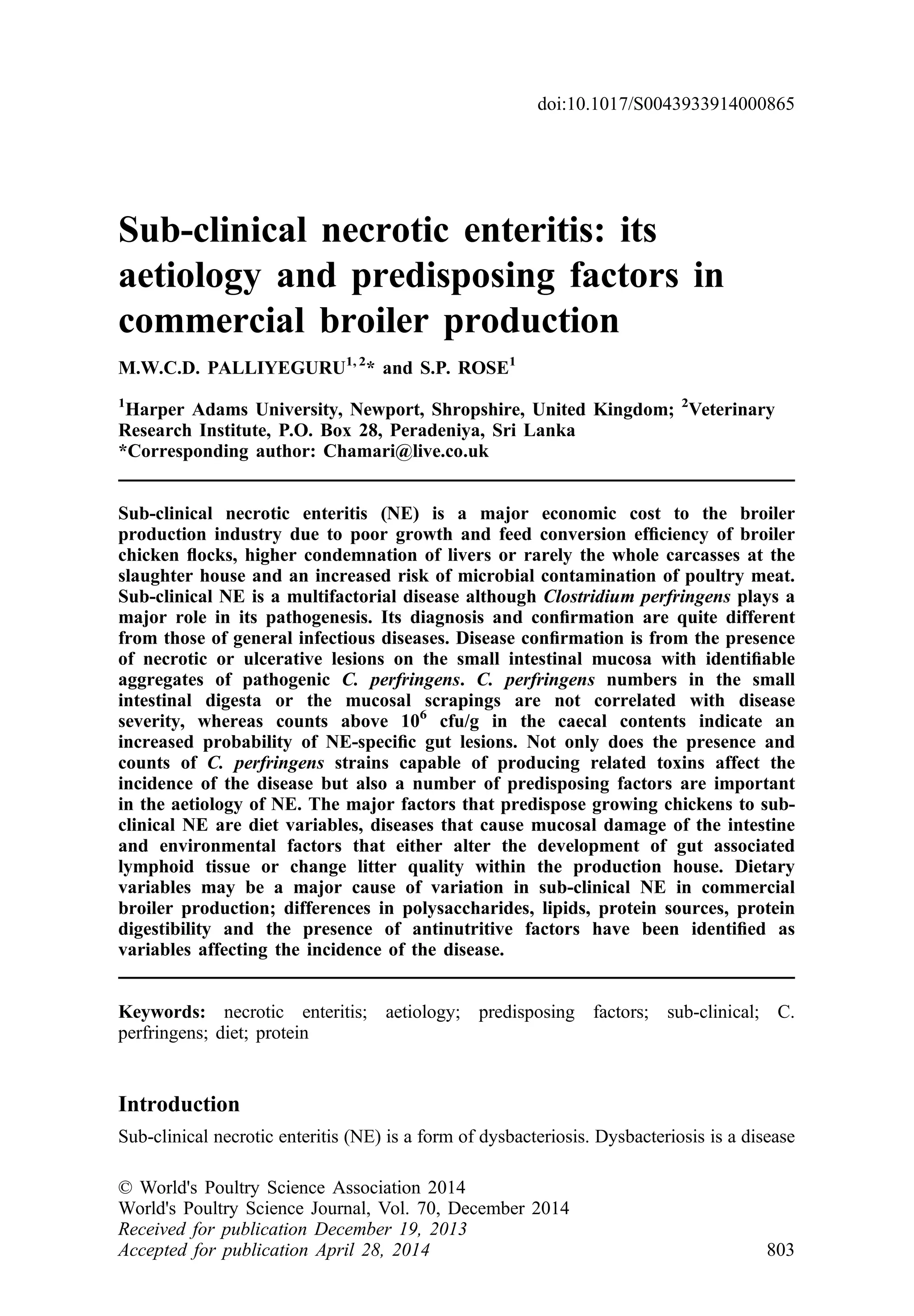 Subclinical necrotic enteritis its aetiology and predisposing factors