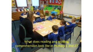 What does reading and reading
comprehension look like in Primary 1 and 2?
 