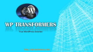 True WordPress devotee
http://wptransformers.com/
 