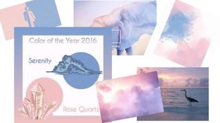 Risorse e metodi per imparare a usare WordPress