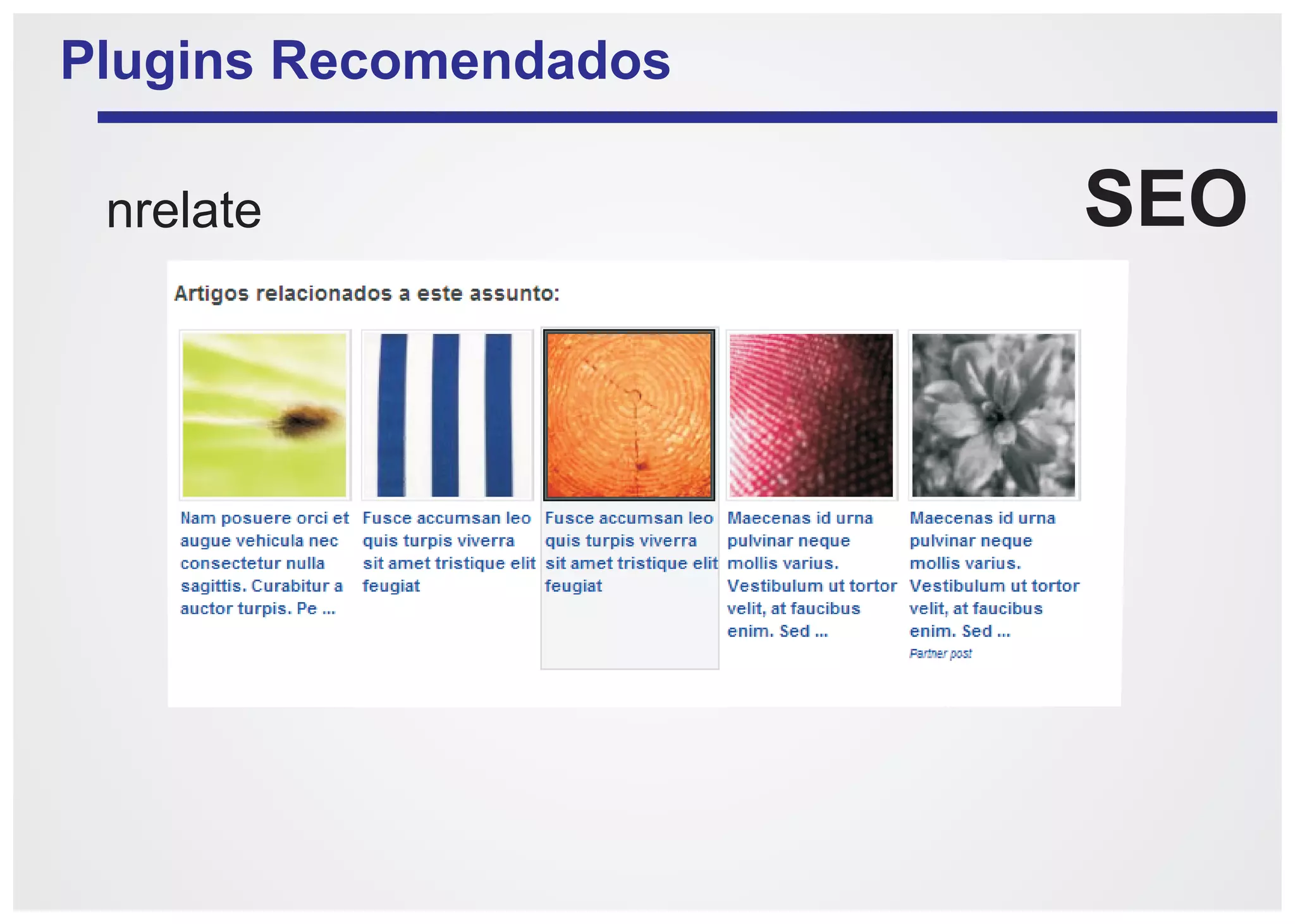 Plugins Recomendados

 nrelate               SEO
 